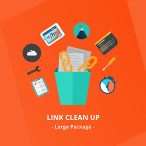 Link-Clean-Up-–-Large-Package