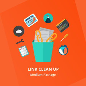 Link-Clean-Up--Medium-Package